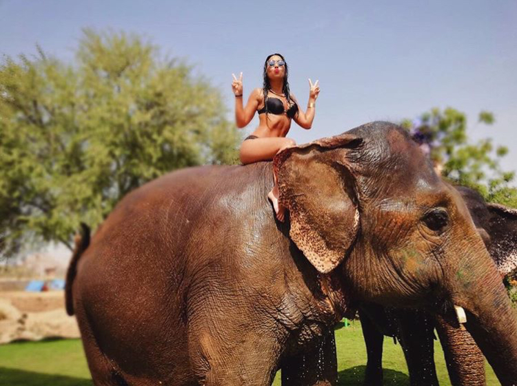 Dana Alexa on an elephant